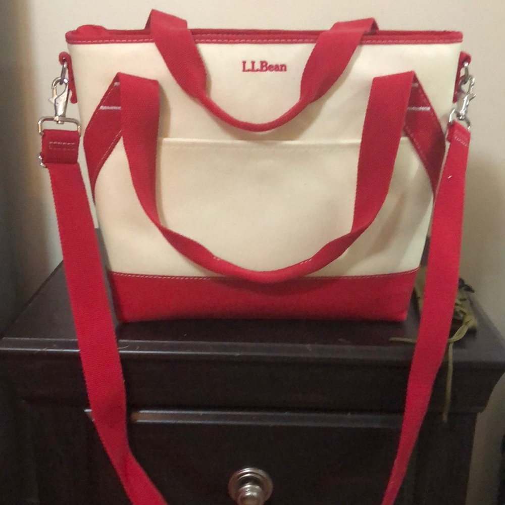 Soft LL Bean cooler/tote